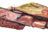 Polished Mookaite Jasper Slab - Australia #221865-1